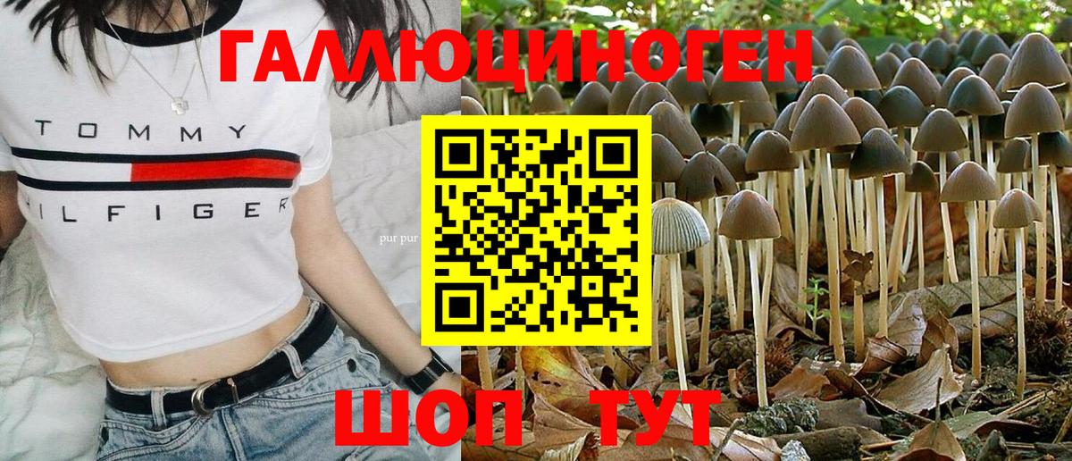Галлюциногенные грибы Psilocybe  Псилоцибиновые грибы MAGIC MUSHROOMS  Зеленогорск  Вход с VPN 