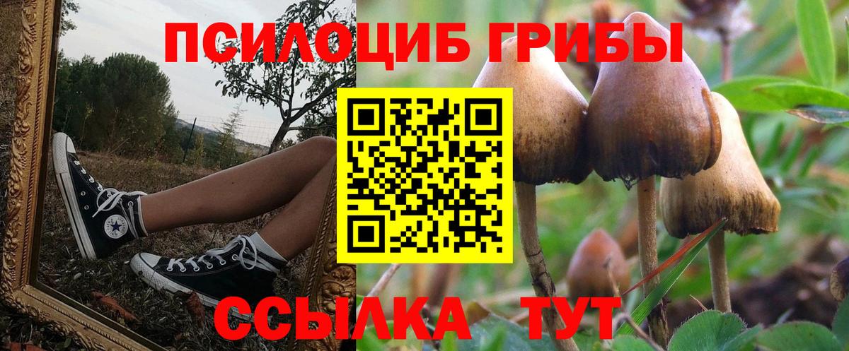 Псилоцибиновые грибы GOLDEN TEACHER Зеленогорск