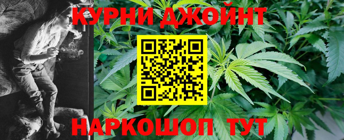 Зеленогорск  Бошки Шишки конопля  Бошки Шишки план  Вход с VPN 